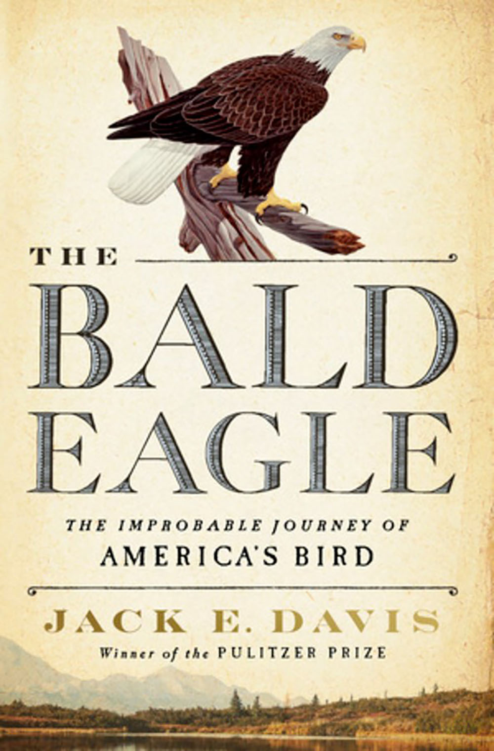 Bald Eagle Facts: Essential Guide to America's Symbol