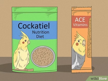 Can Cockatiels Eat Bananas? Safe Feeding Guide