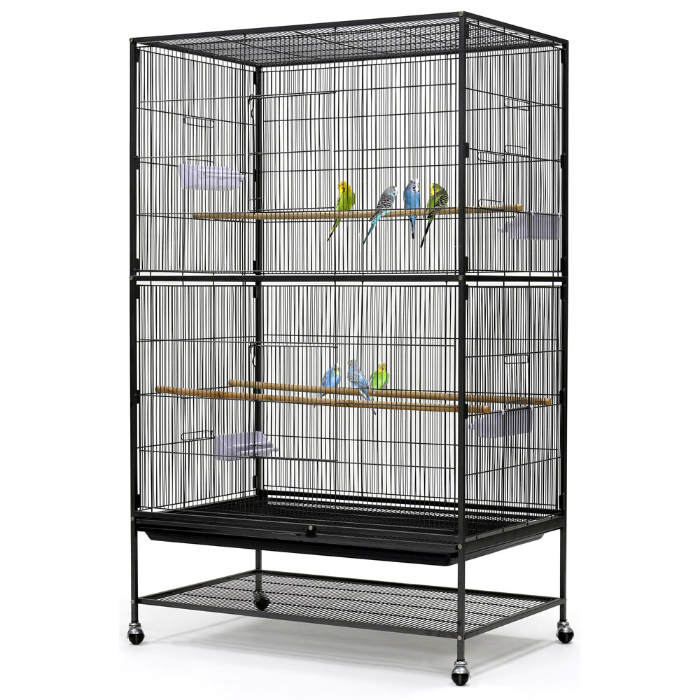 Cockatiel Cage Size: Finding the Perfect Home