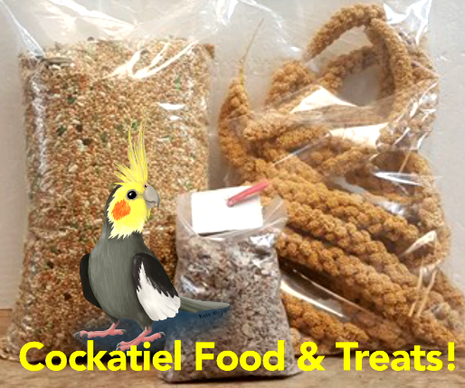 Cockatiel Favourite Food: Best Diet Choices Guide