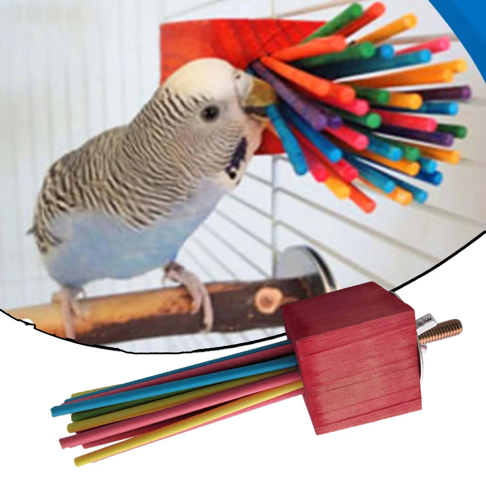 Cockatiel Toys: Best Enrichment Options for Your Bird