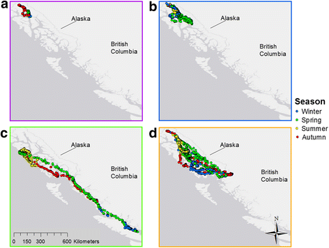 Do Bald Eagles Migrate? Seasonal Movement Patterns