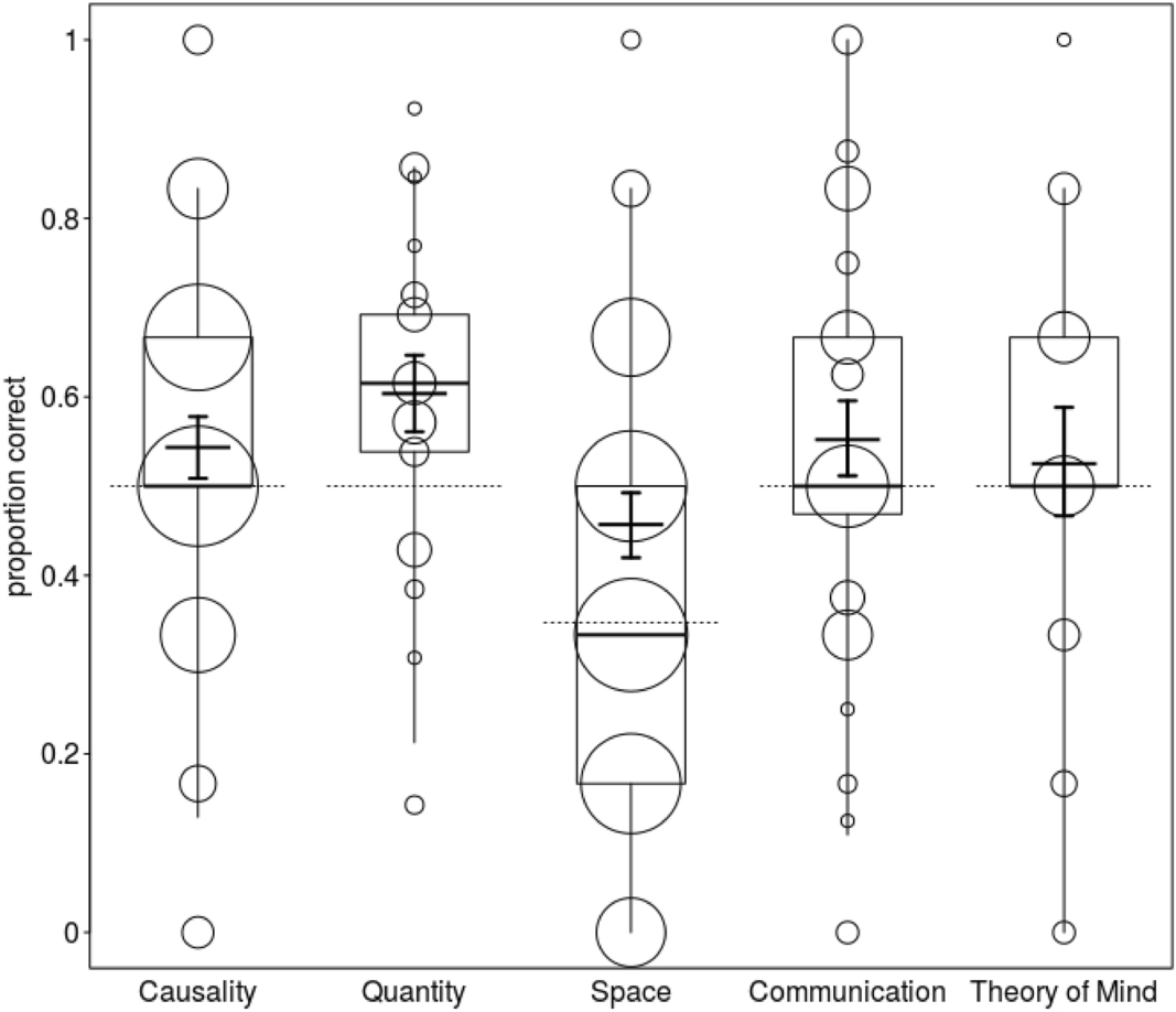 Do Ravens Have Good Memory? Cognitive Abilities Explained