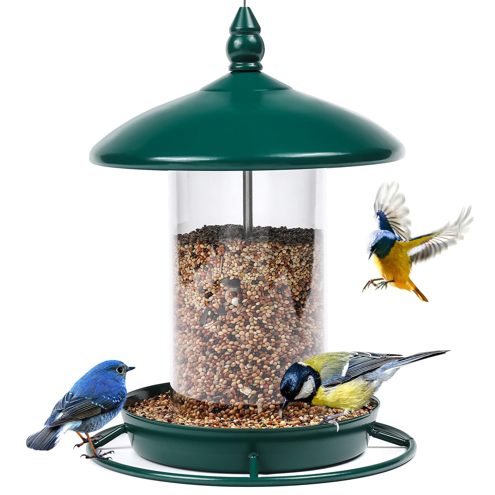 Eco-friendly Feeders: Sustainable Options