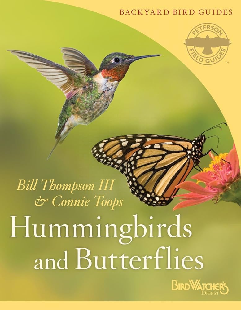 How to Spot Hummingbirds: Backyard Guide