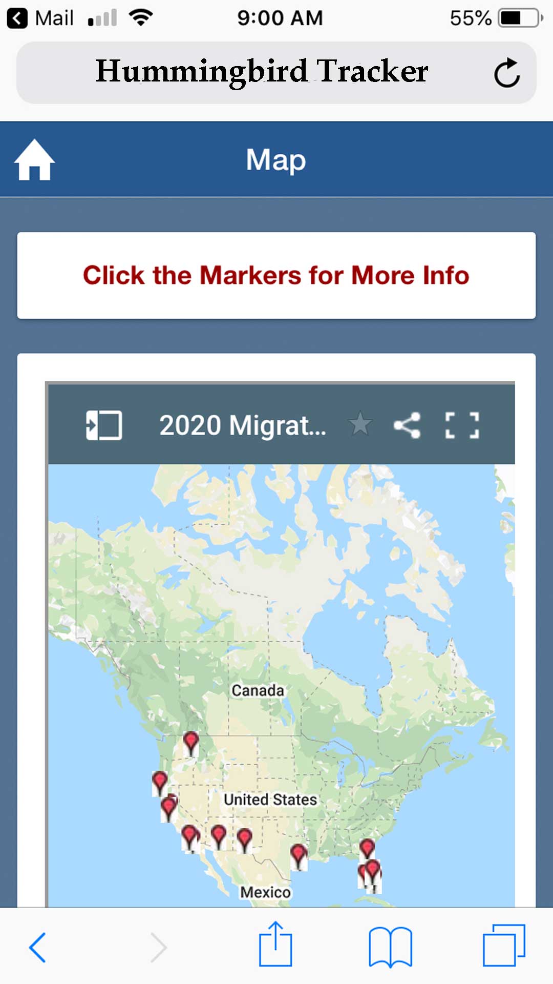 Hummingbird Migration Tracker: Best Tools