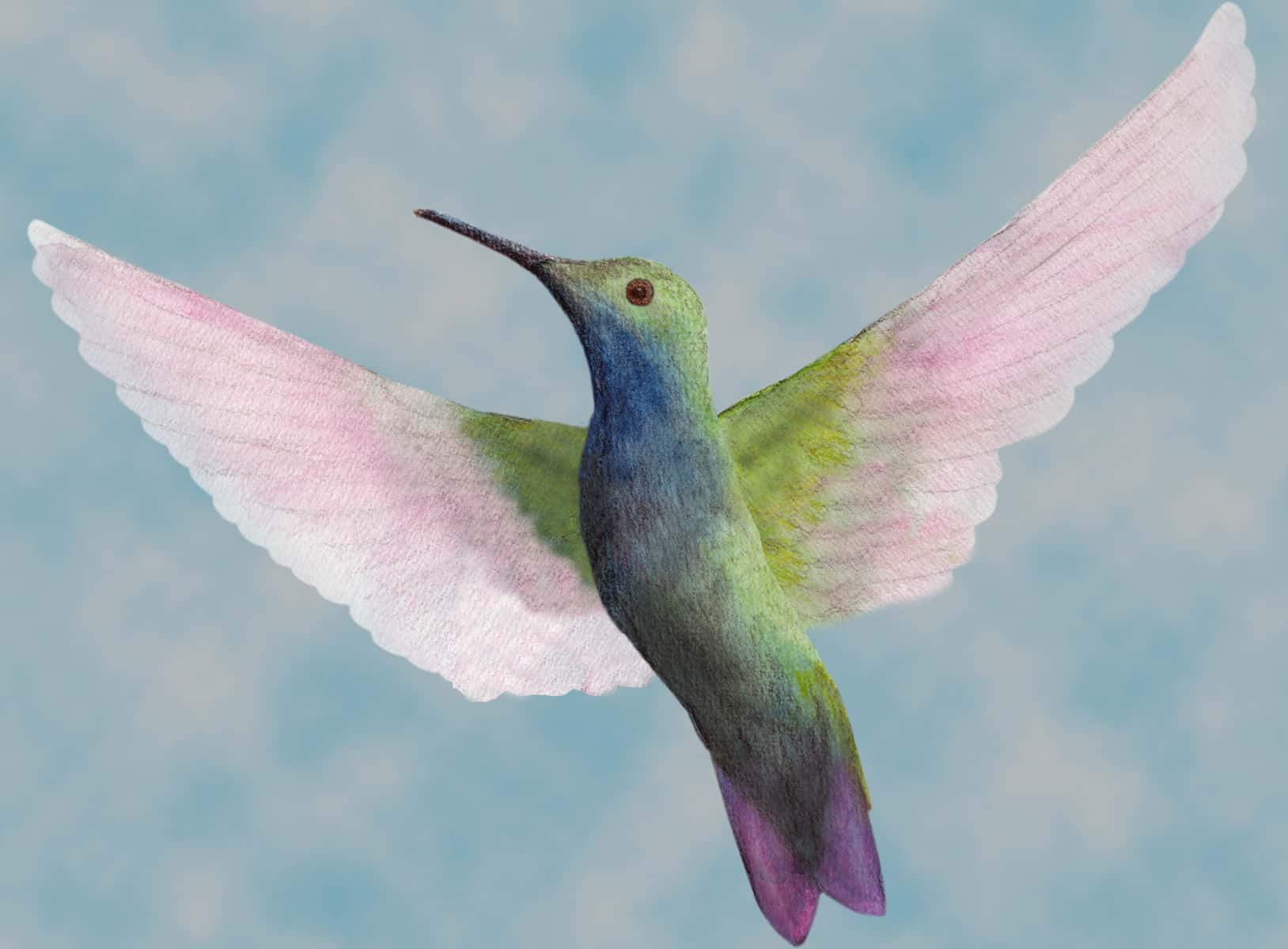 Hummingbird Symbolism Across World Cultures